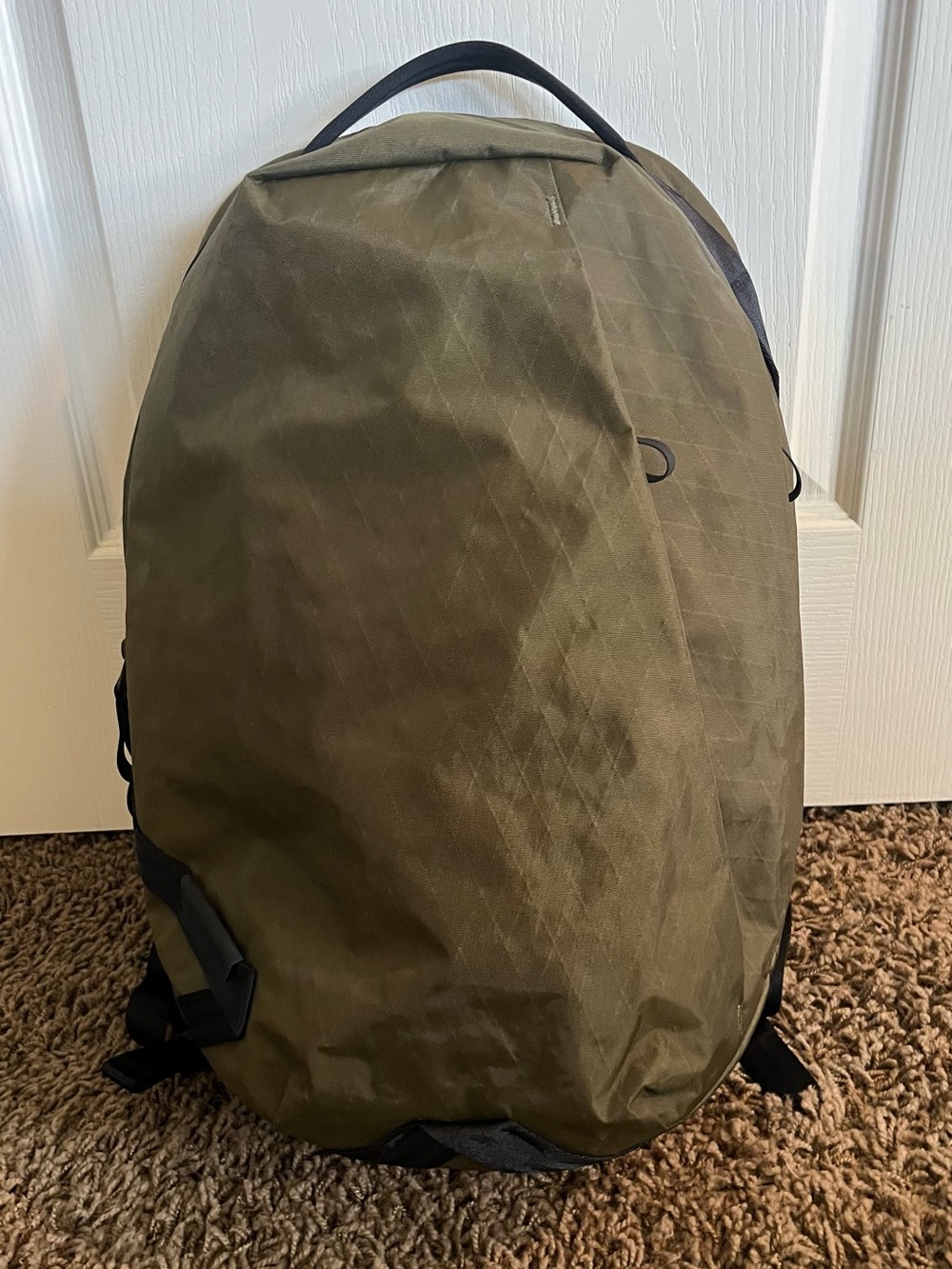 Able Carry Daily Plus backpack (21l) in x-pac olive green
